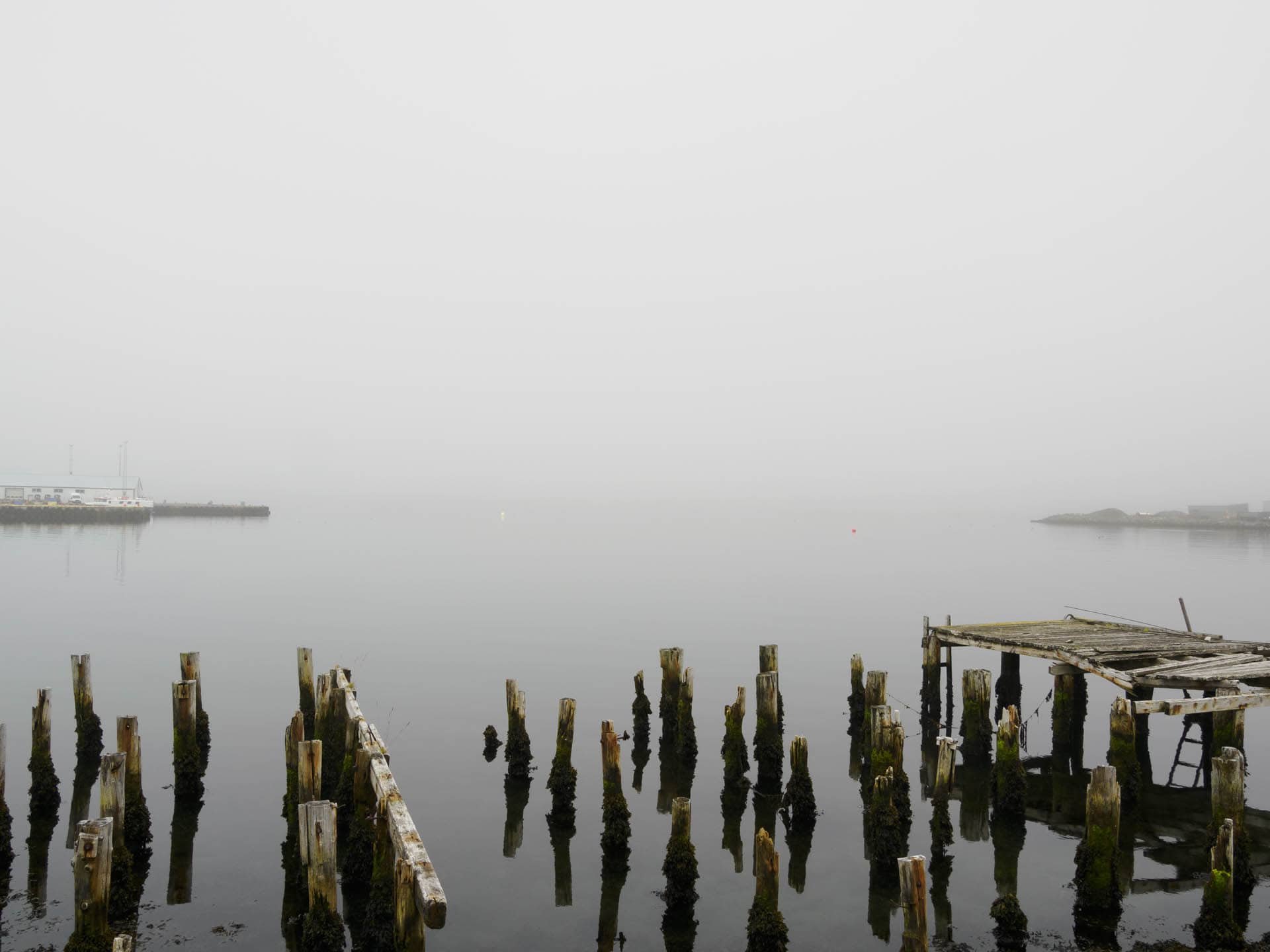 The silent harbour, “Fog in its dress whites at ease along the horizon” (from the poet,Charles Wright)